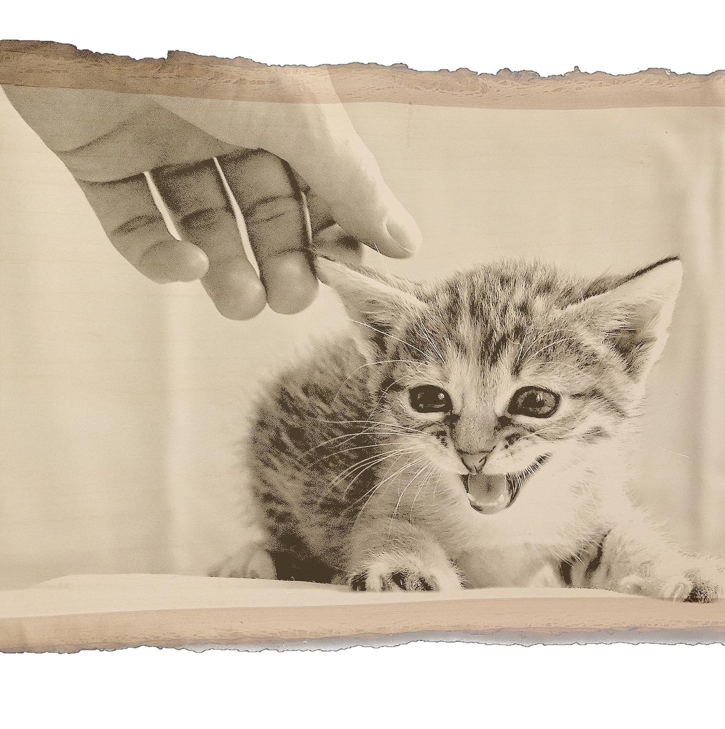 Engraved Cat laser engraving cat engraved photo on wood engraved photo wood photo custom Engraved Wood anniversary gift cat engraving gift