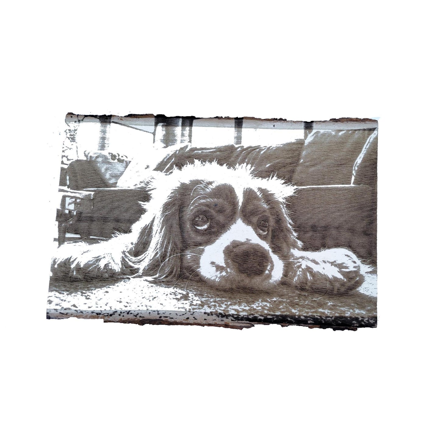 Engraving dog laser engraved custom wood burning engraved dog engraved photo wood photo custom engraved Wood anniversary gift dog engraving