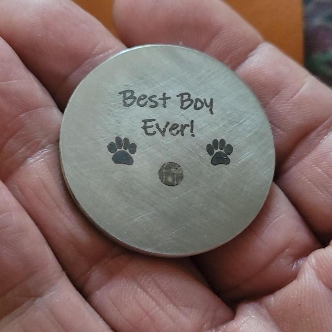 Custom Dog Portrait Coin Personalized Pet Memorial Gift Best Boy Ever Token Engraved Stainless Steel Keepsake for Dog Lovers and Owners
