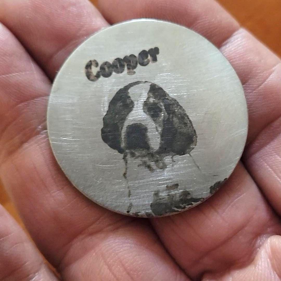 Custom Dog Portrait Coin Personalized Pet Memorial Gift Best Boy Ever Token Engraved Stainless Steel Keepsake for Dog Lovers and Owners
