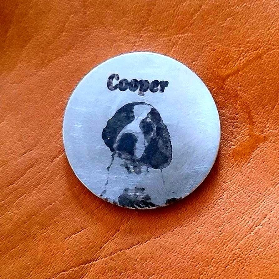 Custom Dog Portrait Coin Personalized Pet Memorial Gift Best Boy Ever Token Engraved Stainless Steel Keepsake for Dog Lovers and Owners