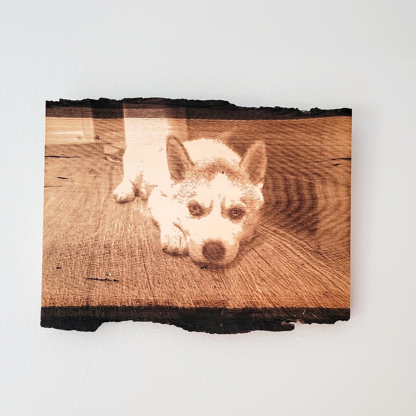 Engraved pet on wood slice gift for dog lovers engraved photo on wood engraved photo wood photo laser engraved photo wood slice picture