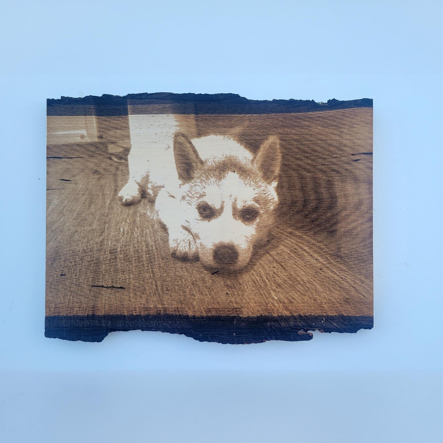 Engraved pet on wood slice gift for dog lovers engraved photo on wood engraved photo wood photo laser engraved photo wood slice picture