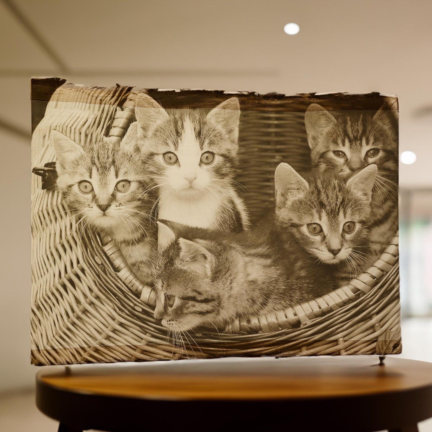 Engraved Cat laser engraving cat engraved photo on wood engraved photo wood photo custom Engraved Wood anniversary gift cat engraving gift