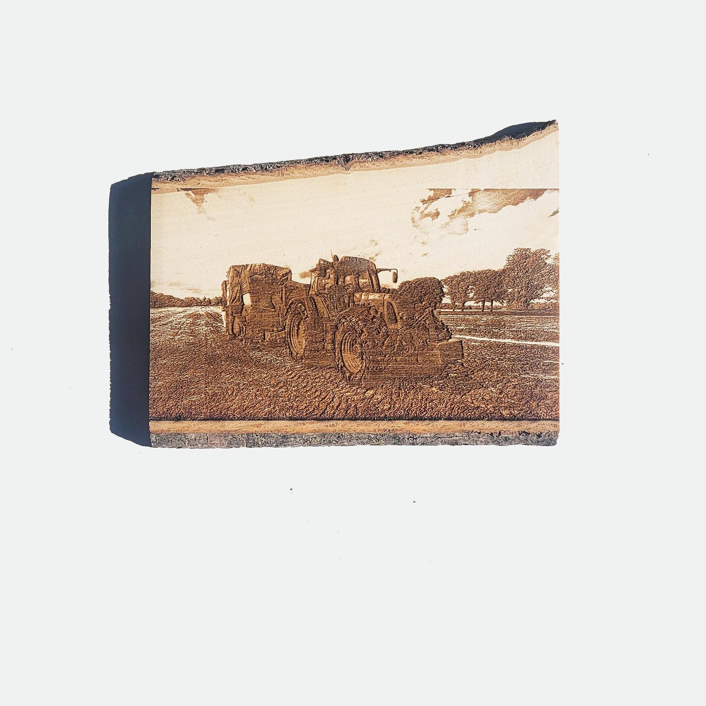 Rural landscape art rural America art  farmer ornament  landscape wall art Wood slice engraved photo wood burned wood photo personal photo